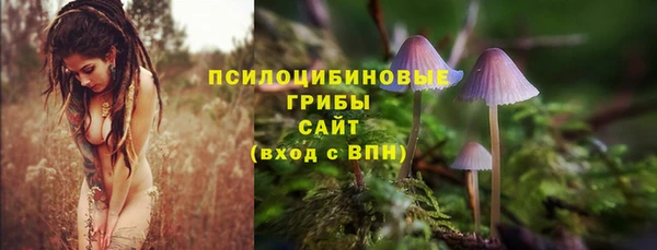 гидропоника Аркадак