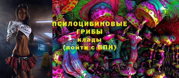 гидропоника Аркадак